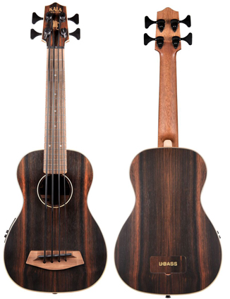Acoustic Electric Basses