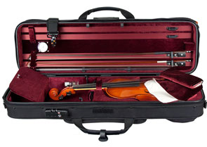 Protec on sale violin case