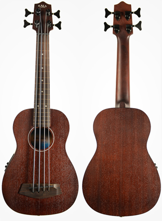 Acoustic Electric Basses